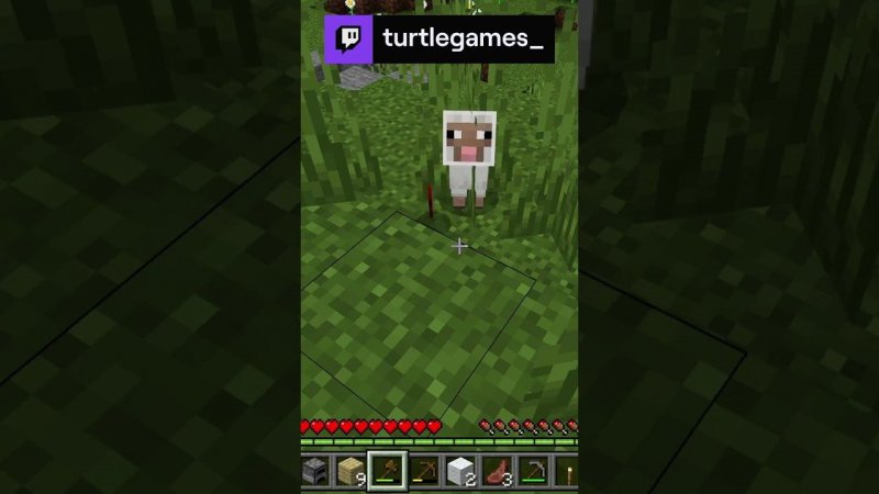 Ohh nooo!!! | #minecraft #shorts #Twitch