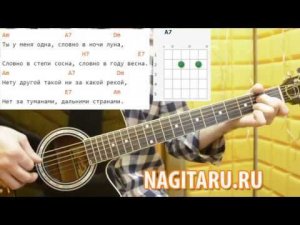 Легкая песня! Юрий Визбор - "Ты у меня одна". Аккорды в Am, слова, разбор, на гитаре