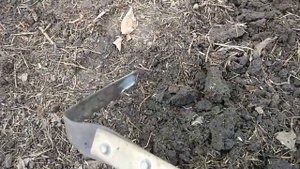 Мульча и червячки.