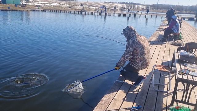 14-04-2025 смотреть онлайн