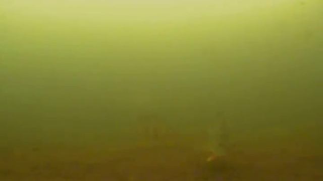 Съёмки на камеру Калипсо смотреть онлайн