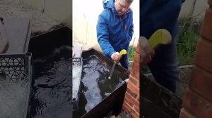 Квок Игоря Слепцова . "Круглый сюрф"