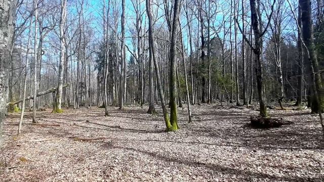 Велопрогулянка 11.04.2021 смотреть онлайн