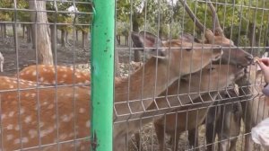 Санаторий Бакирово