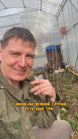Посадил гигантский арбуз