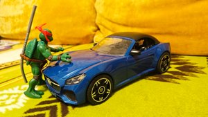 Обзор гонка брудер bruder