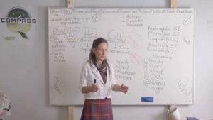 7_БАРБАРА О'НИЛЛ__ВОДА, АЛЛЕРГИИ И ВОСПАЛЕНИЯ