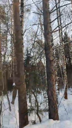 14-04-2025 Выглянуло  солнышко