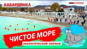 Кабардинка. Чистое море. Мазута нет!