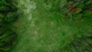 Участок Лесоучасток