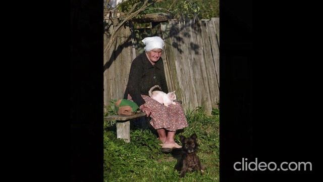 Жданушки