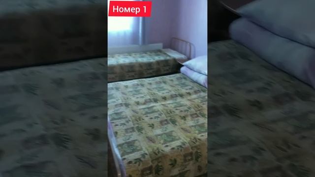 Номер 1 "Незабудка" курорт Східниця