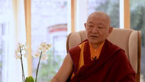 Introduction | Ringu Tulku