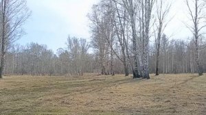 Коммерческая земля площадью 5000 м2