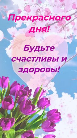 Добрый день! Чудесная открытка для Вас!