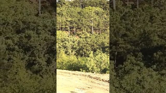 Земельный участок в Алуште (р-н санатория Ветеран)