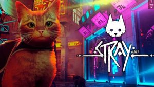 STRAY. Прохождение игры #1