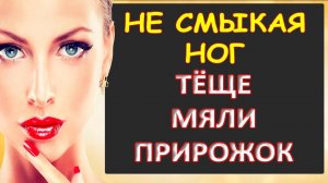 Порно - Было не до сна и покоя тёще...Интересные истории из жизни