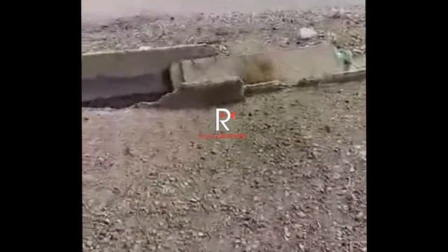 Балыкчы: арыктар сапатсыз салынган/ЭЛДИК РЕПОРТЕР смотреть онлайн