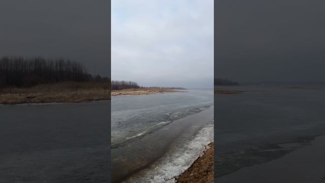 Утренняя прогулка и практики благодарности