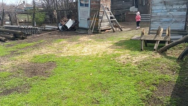 Жизнь в деревне .Прогулка в деревне,коты гуляют