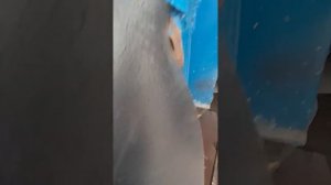 Ремонт задней навески МТЗ.