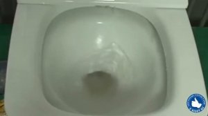 Смыв “Торнадо“ в электронном унитаз SensPa