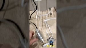 Первый запуск гидропоники в тестовом режиме 🌿🌱🥬🌾☘️🍃🍀