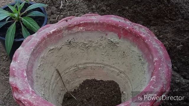 আজি sunpatiens ৰুইছো চাব দেই।যদি কিবা জানিব বিচাৰে তেন্তে এই video চালে শিকিব পাৰিব। смотреть онлайн