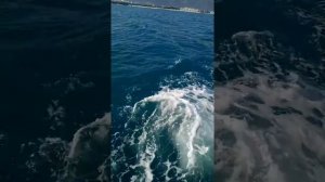 Поездка на корабле "Глория" Геленджик 9 июня