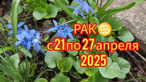РАК ♋ Расклад Таро с 21 по 27 апреля 2025