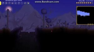 Terraria #12: как получить все веши в террарии