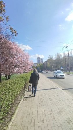 По набережной Донецка