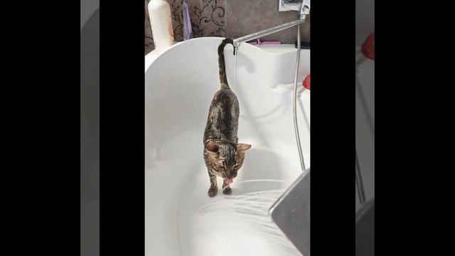 1000162278.mp4