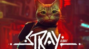 STRAY. Прохождение игры #2