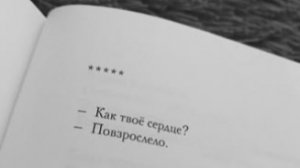 Стихи. Без прошлого...