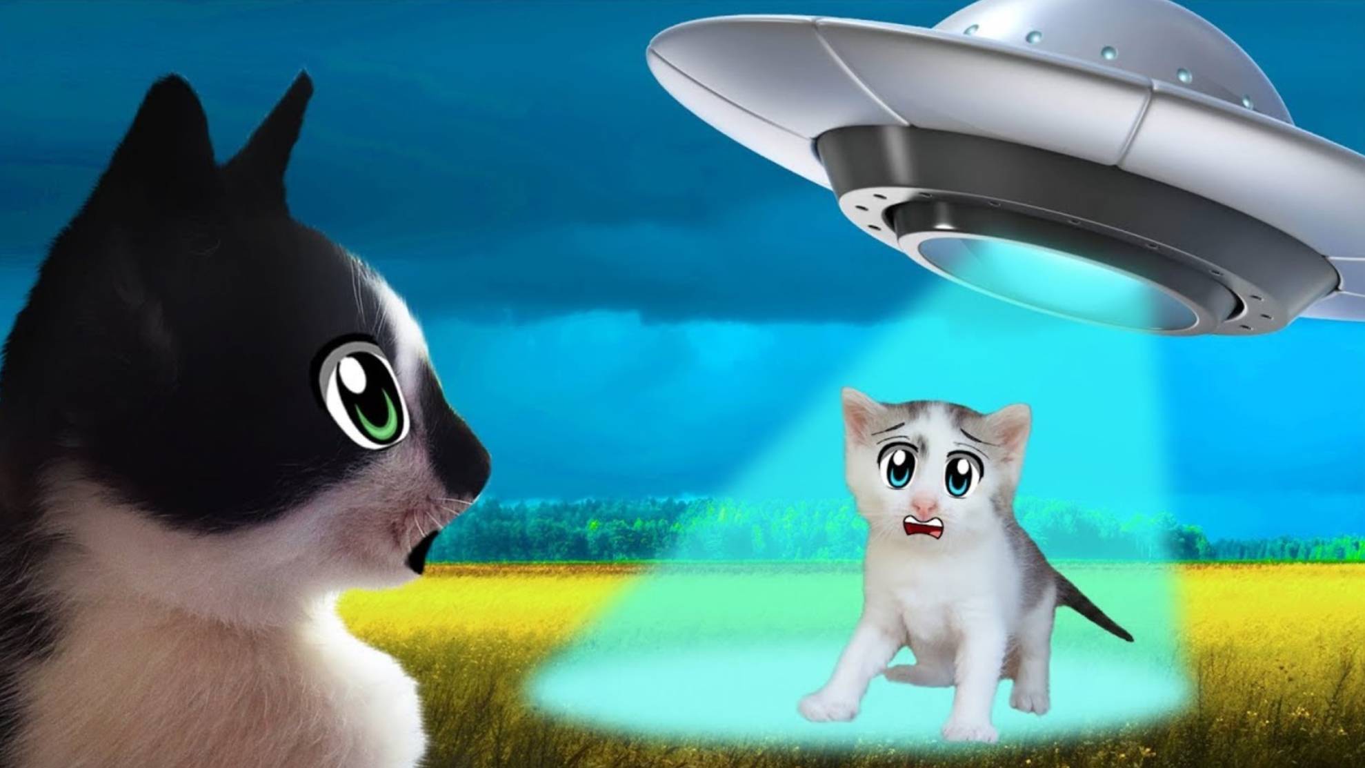 КОТ МАЛЫШ и КРОЛИК БАФФИ vs ПРИШЕЛЕЦ! КОШКА МУРКА ЗАКОЛДОВАНА! НЛО против КОТОВ! А ну-ка давай-ка