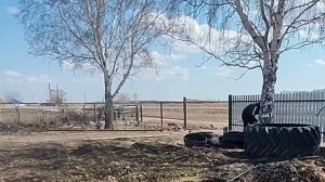 Выезжаем в город, по объездной дороге.Убираем территорию.Пересаживаем смородину. #Казахстан