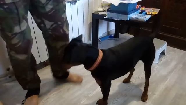 30 октября 2017 г. смотреть онлайн