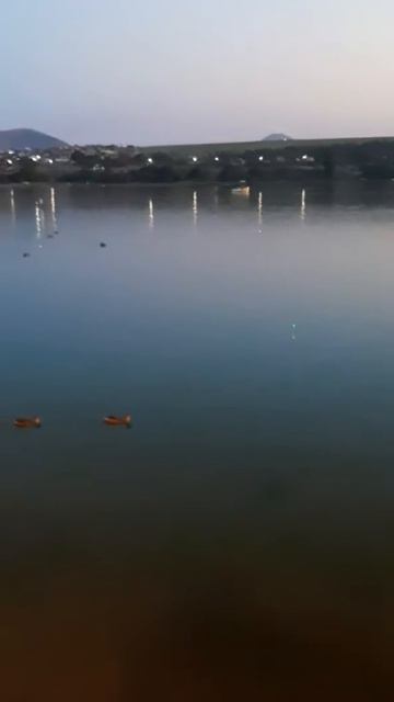 Рыбалка на Новопятигорском озере смотреть онлайн