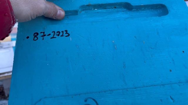 Как выглядит клуб пчел 16.03.24 смотреть онлайн