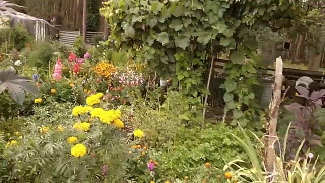 Здравствуйте мои друзья это мои видео . Затишье Брянской области санаторий. смотреть онлайн