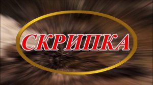 Ирина Верина-Михалкина – «Скрипка», читает автор