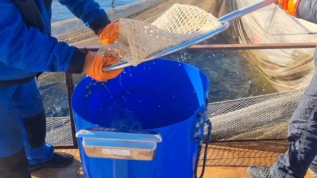 14-04-2025 смотреть онлайн