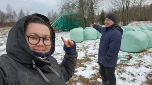 Доставка сена коровам. Пытаемся разобраться с трактором. Снег в апреле.