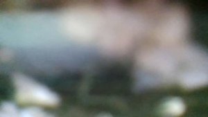 Чужая ты(Оборвалась любви струна и не звенит теперь она,чужая ты,и я чужой,ведь ты с другим(наброск