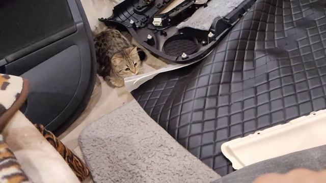 Мутим кожаную обшивку дверных карт. Как обшить дверную карту кожей? Как обшить кожей? смотреть онлайн