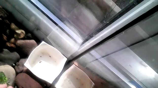 6 мая 2016 г. смотреть онлайн