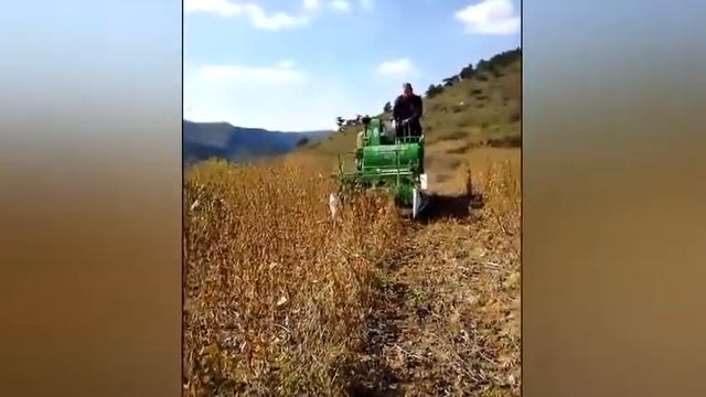 Small Combine Soya Bean Harvester for Ghana Bean Farm | HUAYO AGRO смотреть онлайн