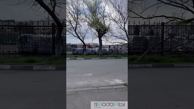 О поселке Приморский